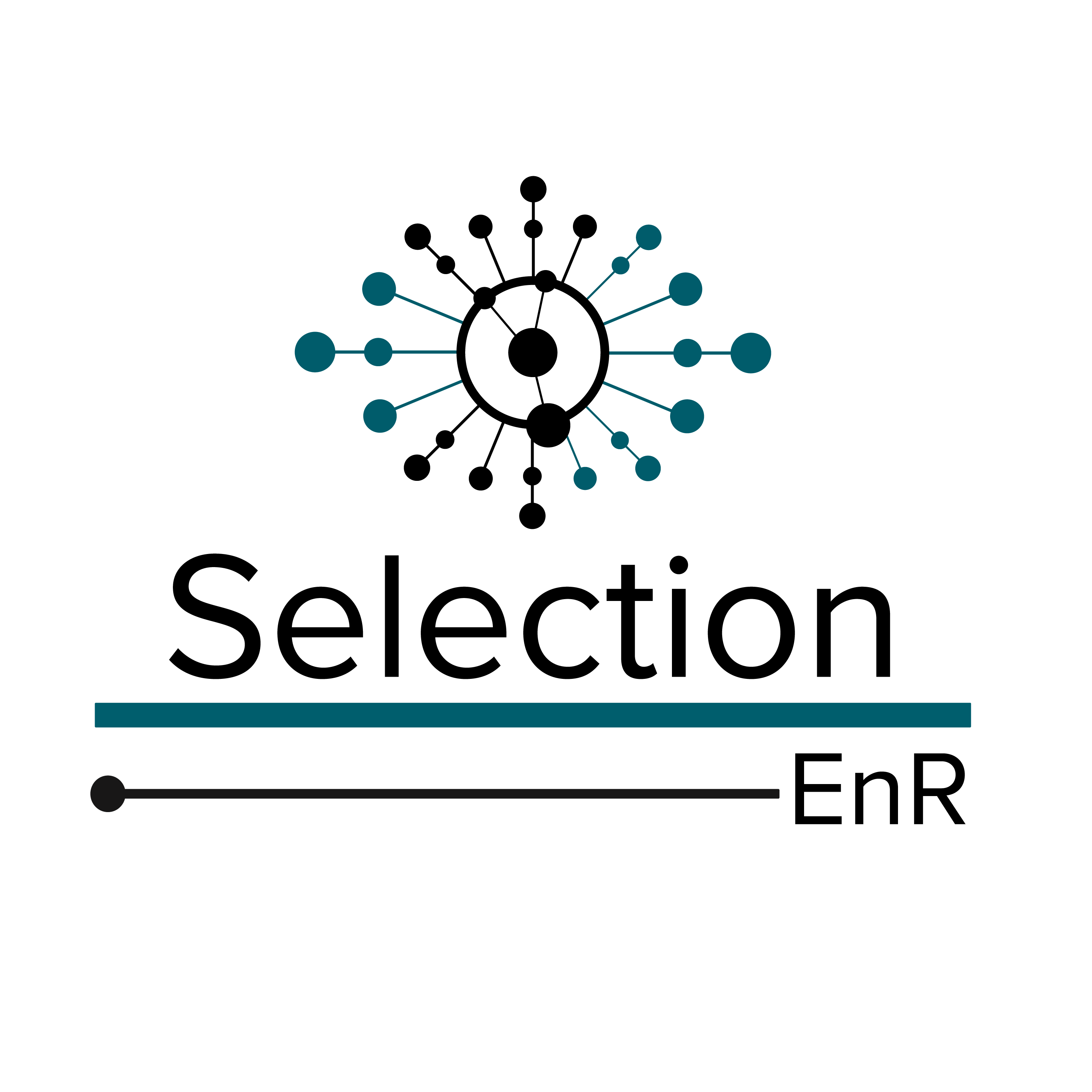 User Logo